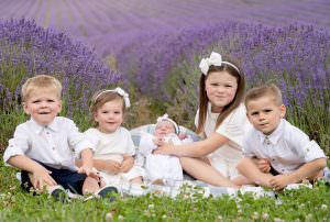 Lavender photoshoots kent